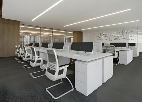 软件工作室如何制定资源投入与执行计划